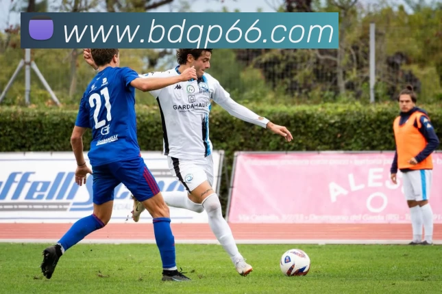 半岛棋牌平台生态图